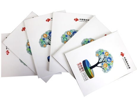 2015年甘肅省發(fā)布福利彩票社會責(zé)任報告